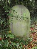 image of grave number 173133